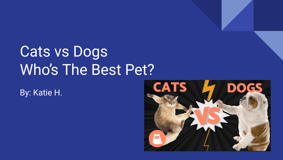 Cats vs Dogs