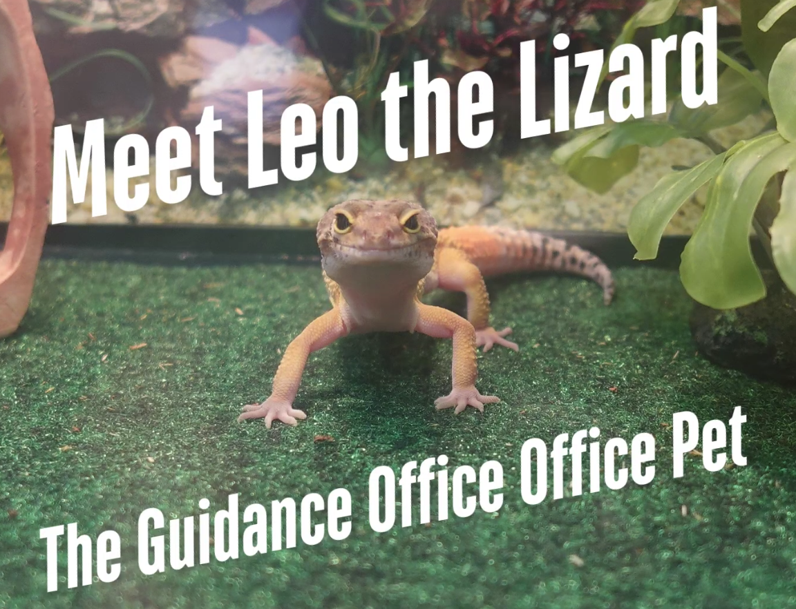 Leo the Guidance Office Lizard!