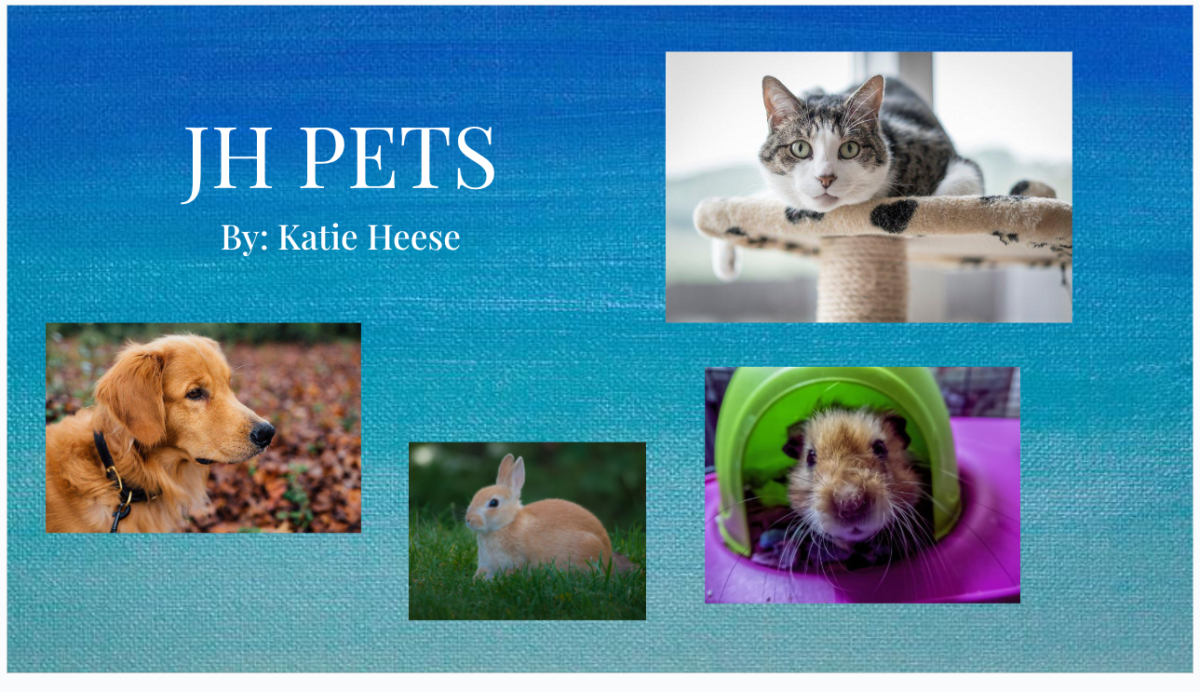 JH Pets!