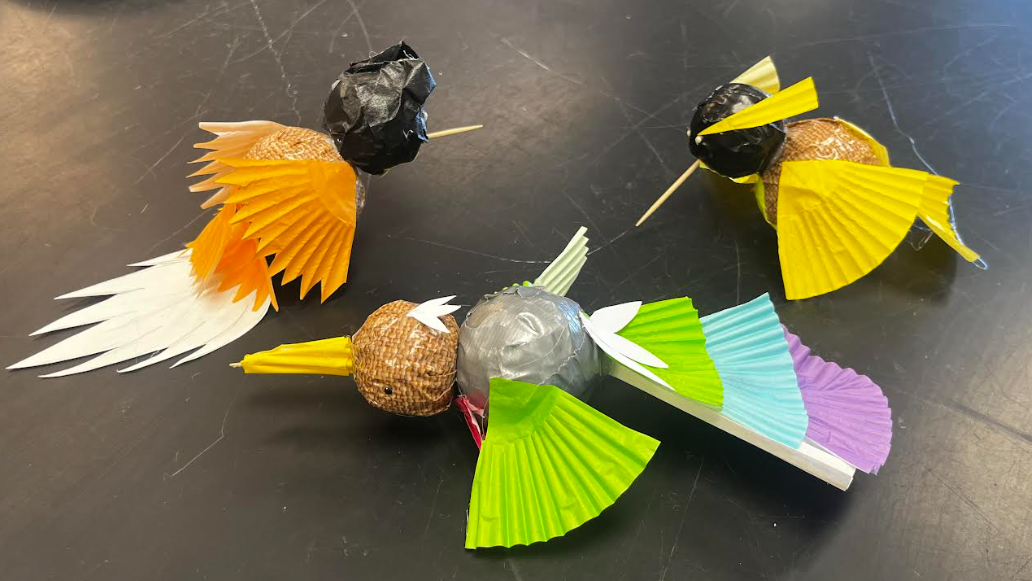 Stitchbirds in 7th-grade Science