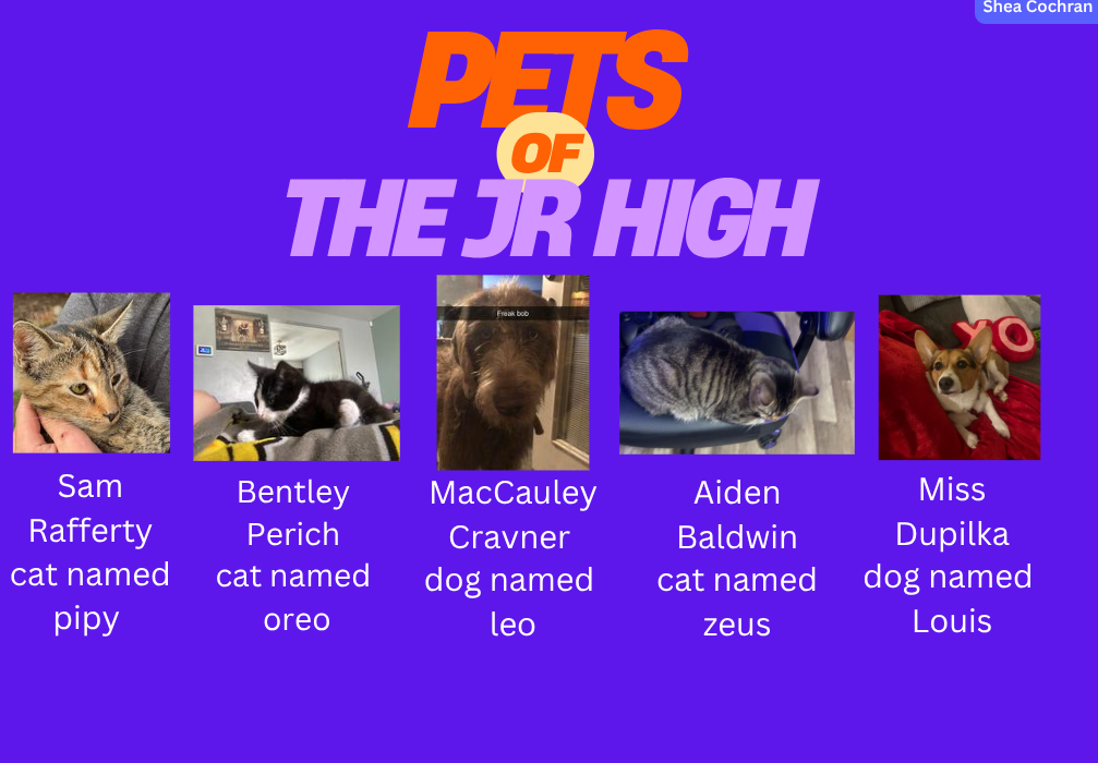 JH Pets!