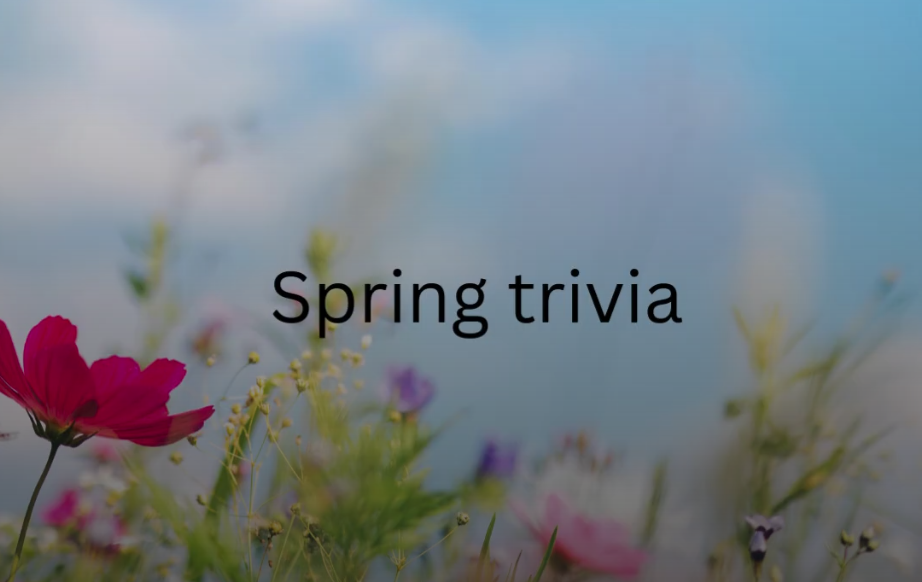 Spring Trivia