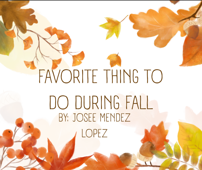 Fall Favorites