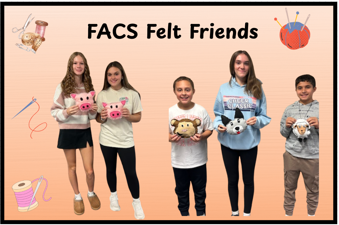 FACS Felt Friends