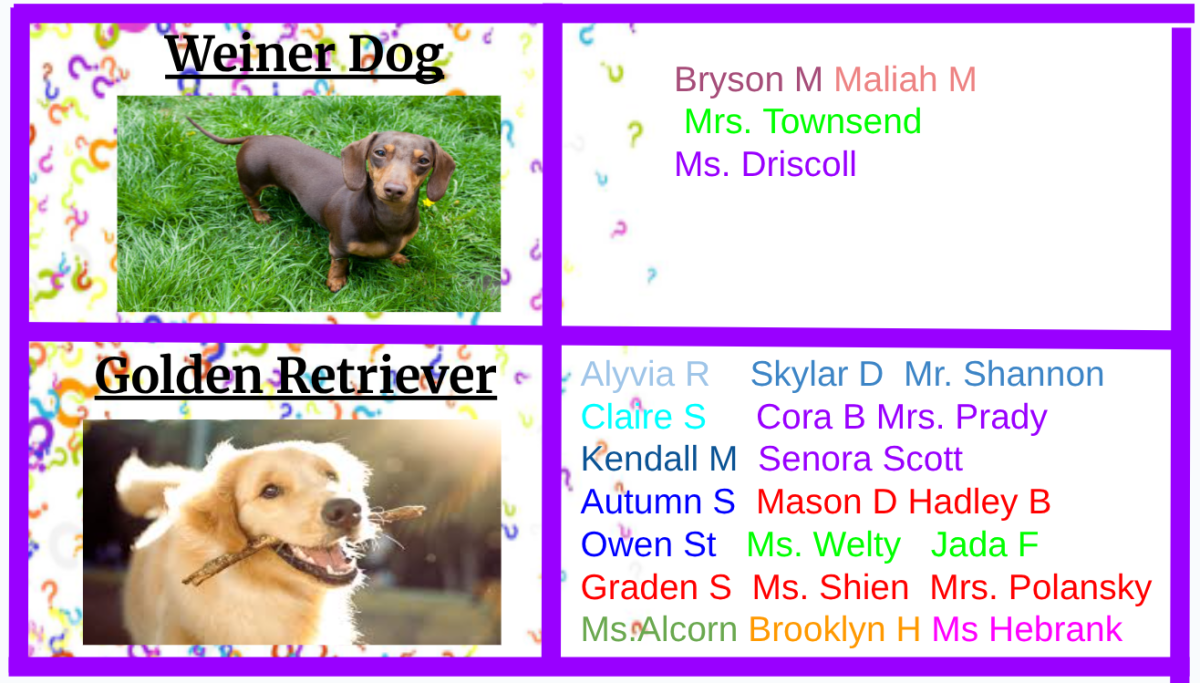Which dog would you rather have?